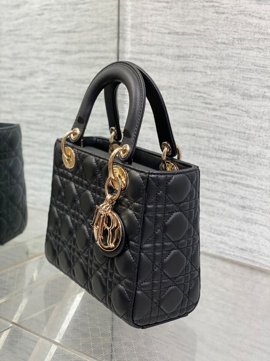 Dior Medium Size Bag