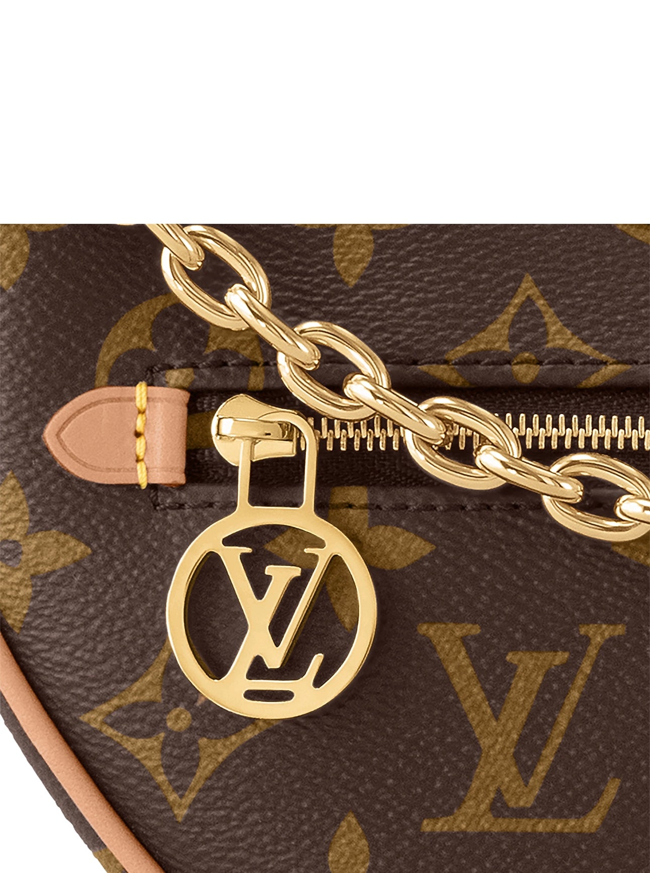 Louis Vuitton Loop Bag